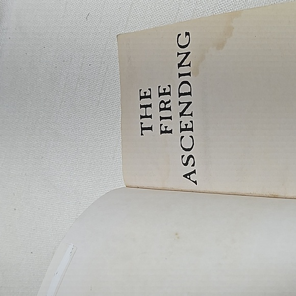 The Last Dragon Series, Chris D'Lacey Fire Series Book 1,3,5 and 7 - Picture 13 of 15